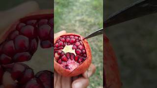 Amazing Pomegranate Cutting  | how to cutting pomegranate fruit #fruitcutting #cuttingskills