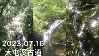 輕旅足跡：2023.07.16日大屯溪古道