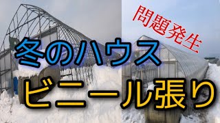 冬のハウスビニール張り✨問題発生💦