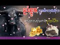 ឆ្នាំឆ្លូវ មានក្បួនកែហុងស៊ុយ នាំលាភសំណាង ពេញមួយជីវិត ep learning