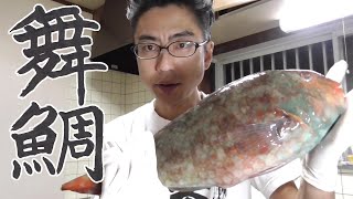 本編071　ブダイを捌いて刺身にしてみた。