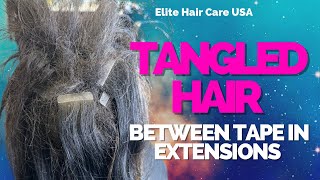 Her hair was so tangled between her tape in extensions| she hasn’t detangle her hair in a while