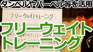 フリーウェイトトレーニングについて／初心者のための筋トレ理論講座（第46回）