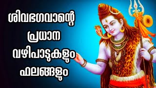 ശിവഭഗവാന്റെ പ്രധാന വഴിപാടുകളും ഫലങ്ങളും | Astrology | Jyothisham | Lord shiva | Tips | Vlog