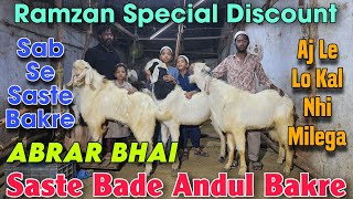 Ramzan Special Discount Andul Goat At ABRAR BHAI | 2025 Big Andul Saste Goat In Bhiwandi