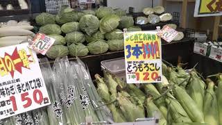 大垣市船町 スーパー　アルバイト募集、みなさまこんにちは、三河屋船町店野菜売場より7月10日お買い得商品のご案内です、栄養豊富な野菜摂って暑い夏乗りきりましょう、みなさまのご来店お待ちしております。