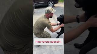 🐶 Так зворушливо! Собака зустрів воїна вдома