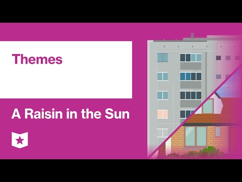 What is one theme in a raisin in the sun?