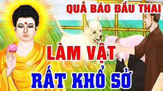 Nhân Quả Báo Ứng Không Bỏ Sót Một Ai, Quả Báo ĐẦU THAI LÀM VẬT...Rất Khổ Sở | Gieo Nhân Gặt Quả