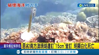 太可惡！南方澳豆腐岬珊瑚遭釘6根營釘 明顯白化死亡 潛水客直呼超心疼｜記者 黃國瑞 葉馨婷｜【LIVE大現場】20220606｜三立新聞台