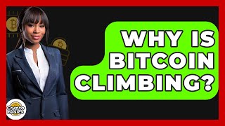 Why Is Bitcoin Climbing? - CryptoBasics360.com