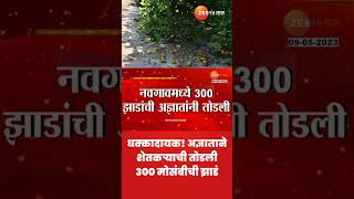 Sambhaji Nagar | धक्कादायक! अज्ञाताने शेतकऱ्याची तोडली 300 मोसंबीची झाडं | zee 24 taas | zee24taas