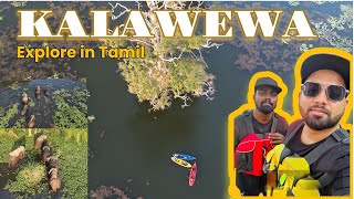 KALAWEWA KAYAKING / Anuradapura / Sri Lanka 🇱🇰 / Subtitles in English Explore in Tamil / தமிழ்