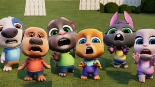 Pequeños insectos desagradables | Cortos de Talking Tom | Dibujos animados | WildBrain Niños