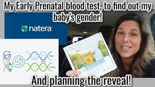 Natera non invasive prenatal screen, to find out my baby’s gender! Taking you along the process!