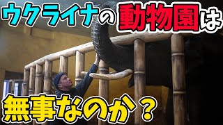 ウクライナの動物園は今どうなっているの？