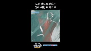 [티저] 빡세게 일하는 염정아 신규 예능ㅋㅋㅋ #언니네산지직송