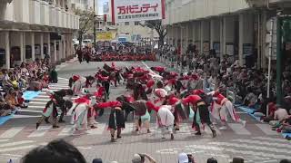 2018  新潟総おどり祭り『神馬道』 三位一体  栄凜會・すいれん・禅