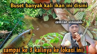 mancing di tempat ini ketagihan terus karna sangking banyaknya ikan di sini ❗