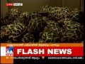 inter state wild animal smugglers active in kerala manorama news