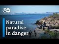 Saving Spain's largest saltwater lagoon | DW Documentary (Environment documentary)