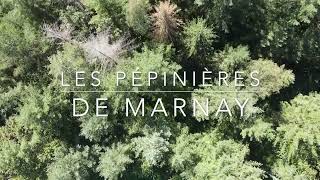 Les Pépinières de Marnay - Parcelle de Noironte