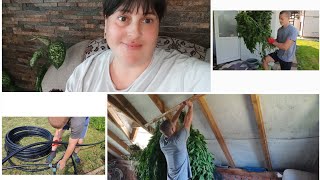 Крапельний полив на малину встановили,кропиву пов'язали на віники і багато іншого зробили....