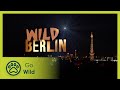 Wild Berlin | Go Wild