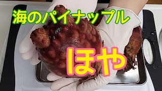 【ほや】殻付き「ほや」をさばいて、お刺身とバター焼きに♪