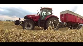 Žatva- Pšenica/ HARVEST -WHEAT 2016/