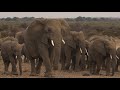 Mashatu Game Reserve - The Four Unique Camps