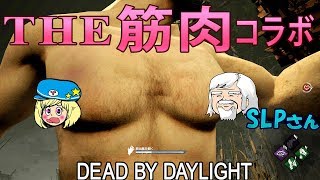 【デッドバイデイライト】THE筋肉コラボ #535【女子実況】Dead by Daylight