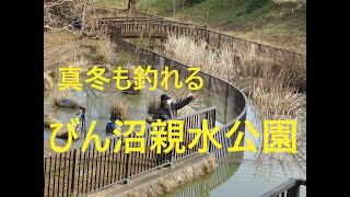 真冬も釣れるびん沼親水公園【ふじみ野市】☆smallfishing in Saitama  Japan☆