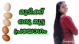 Hair Tips ❤️ മുടി വളർച്ചയ്ക്കും ഉള്ള് കിട്ടാനും ഒരു മുട്ട സൂത്രം ❤️