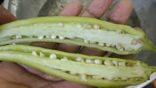 மிளகாய் பஜ்ஜி/chilli bajji