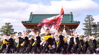 [4K]京炎そでふれ！華羅紅　京都さくらよさこい2017 神宮道１日目（広角）