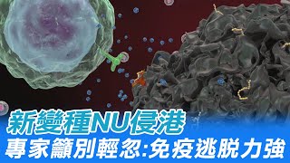 【每日必看】新變種NU侵港 專家籲別輕忽:免疫逃脫力強@中天新聞CtiNews 20211126