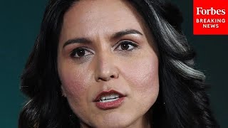 'It's About Her Judgment': Tulsi Gabbard's Ability To Serve As DNI Questioned By Mark Warner