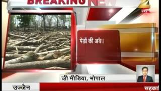 Breaking News : Jabalpur DM suspended for promoting cutting of trees