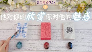 💎他对你的欣赏💘你对他的魅惑～确认彼此感觉#塔罗占卜（暧昧，交往，谈恋爱）