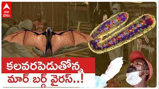 Marburg virus Out break :  కొవిడ్ మర్చిపోక ముందే మరో వైరస్ వ్యాప్తి ! | ABP Desam