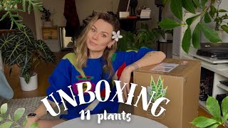 Unboxing 11 New Plants! 🪴 Plant Haul \u0026 First Impressions  ✨