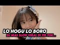 DJ NIAS LO HOGU LO BORO - DJ REMIX NIAS SLOW ENAKEUN || DUT NIAS