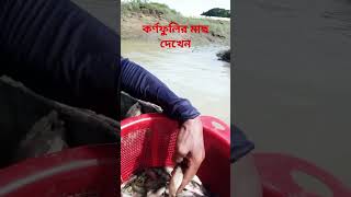 কর্ণফুলী নদীতে মাছ ধরি চিংড়ি বাইলা মাছপাওয়া যায়