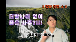 사주 알아가기 | 천간, 戊토,己토 성향.