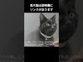 色鉛筆が本気出してみた【黒猫イラスト】　＃shorts