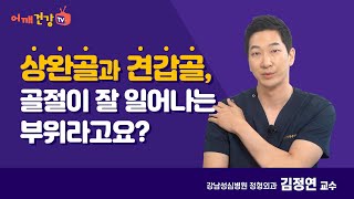 상완골과 견갑골, 골절이 잘 일어나는 부위라고요??