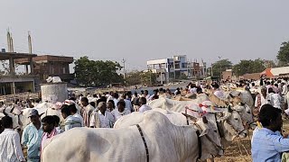 తెలంగాణలో పెద్ద ఎద్దుల సంత పెబ్బేరు.