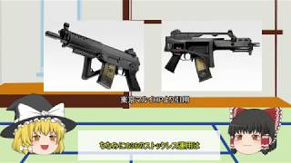 サバゲー初心者におすすめしたい電動ガンについてゆっくり解説 part13（SIG 552）