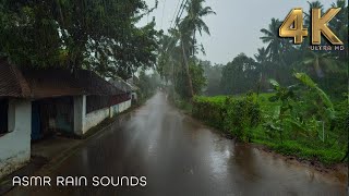 The Beauty of Rain: A Walking Perspective : ASMR Rain Walks Compilation for Sleep and Meditation